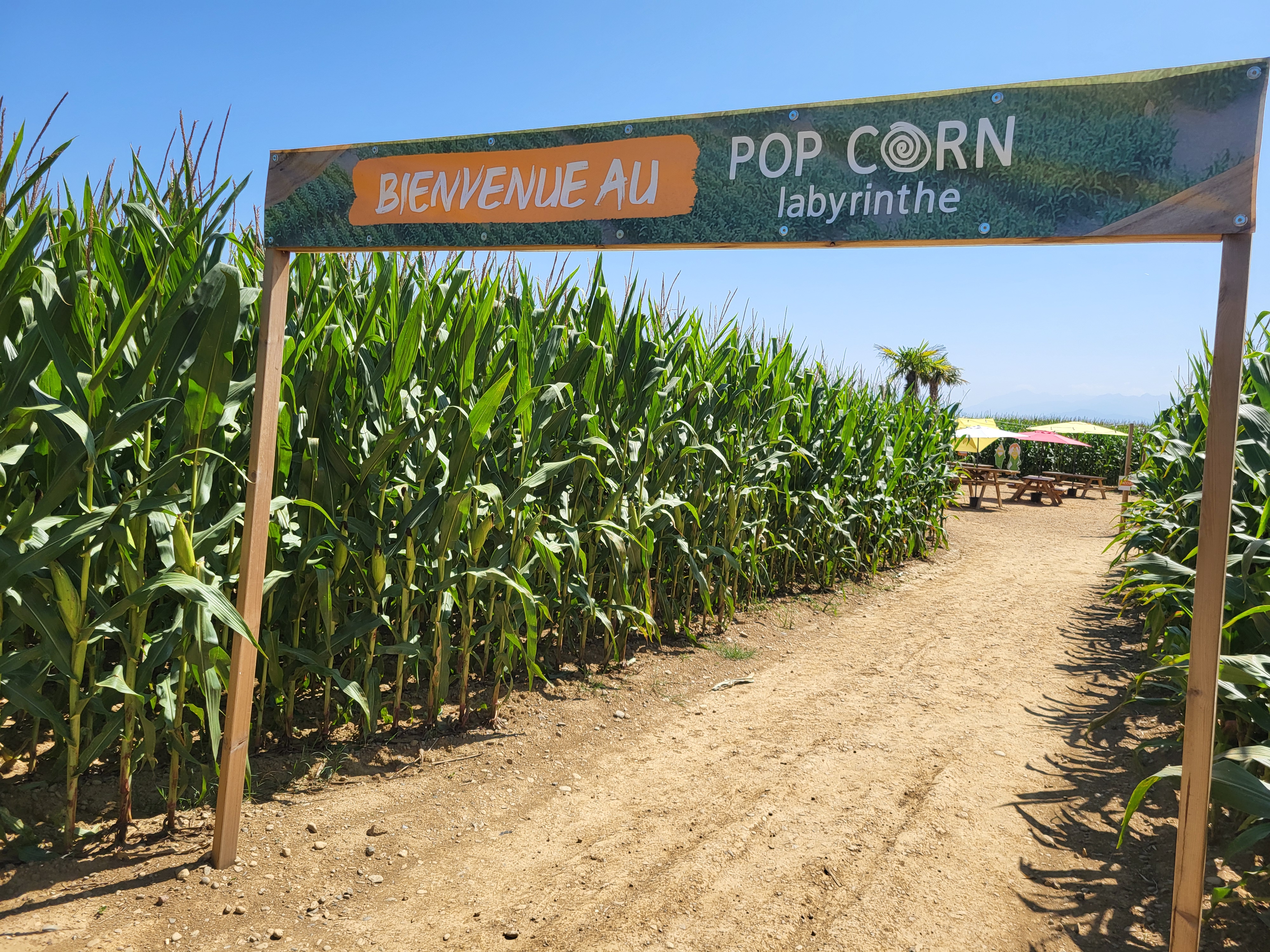 Le parcours dure 1h30 et coûte 10 euros (c'est gratuit pour les enfants mesurant moins d'un mètre). (Photo : Anthony Assémat - Entreprises Occitanie)