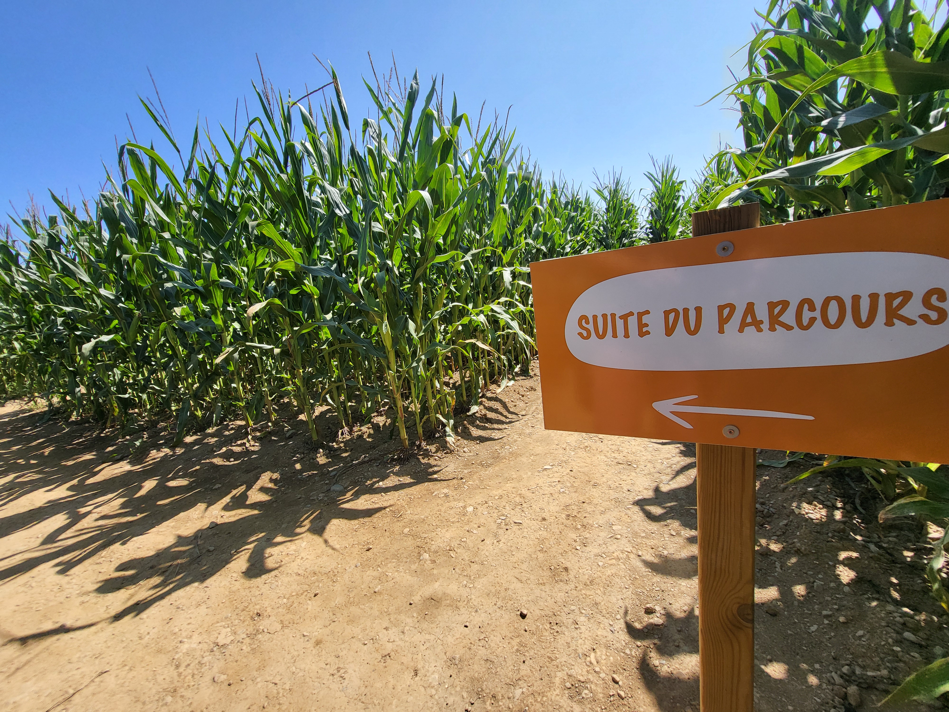 Le labyrinthe se compose de deux parcours : l'un dédié au jeu de piste, l'autre aux jeux en bois. (Photo : Anthony Assémat - Entreprises Occitanie)