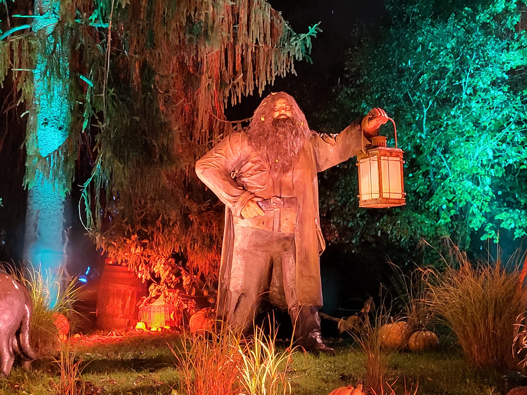 C'est un Hagrid impressionnant, comme dans le film, qui vous attend ! (Photo : Anthony Assémat - Entreprises Occitanie)