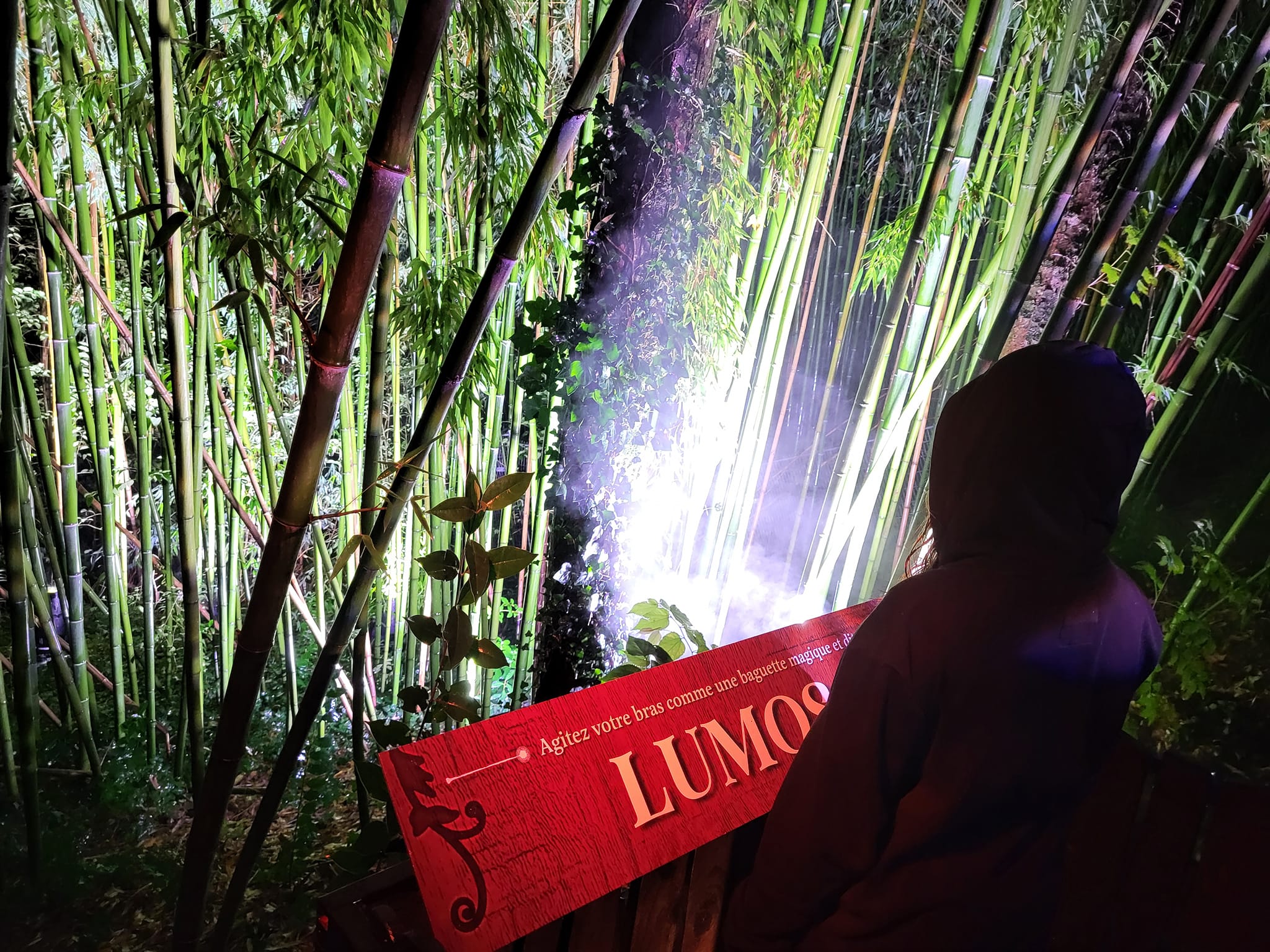 Vous pourrez vous essayer dans l'incantation Lumos, pour l'allumage de la baguette ! (Photo : Anthony Assémat - Entreprises Occitanie)