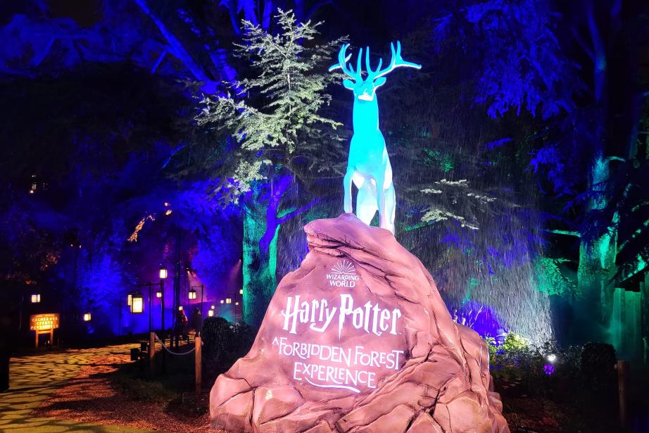 "Harry Potter : l'expérience en forêt interdite" est un événement immersif qui se produit pour la première fois en France... et ça se passe en Occitanie ! (Photo : Anthony Assémat - Entreprises Occitanie)