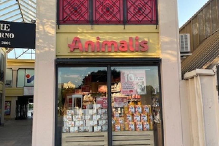 Le magasin Animalis à Montpellier. (Photo Animalis)