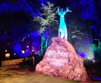 "Harry Potter : l'expérience en forêt interdite" est un événement immersif qui se produit pour la première fois en France... et ça se passe en Occitanie ! (Photo : Anthony Assémat - Entreprises Occitanie)