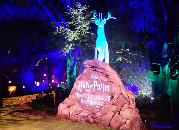 "Harry Potter : l'expérience en forêt interdite" est un événement immersif qui se produit pour la première fois en France... et ça se passe en Occitanie ! (Photo : Anthony Assémat - Entreprises Occitanie)