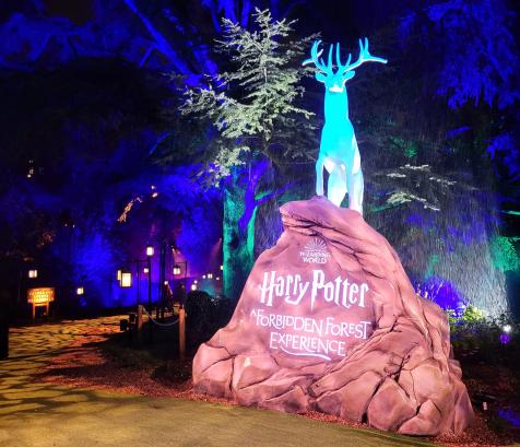 "Harry Potter : l'expérience en forêt interdite" est un événement immersif qui se produit pour la première fois en France... et ça se passe en Occitanie ! (Photo : Anthony Assémat - Entreprises Occitanie)